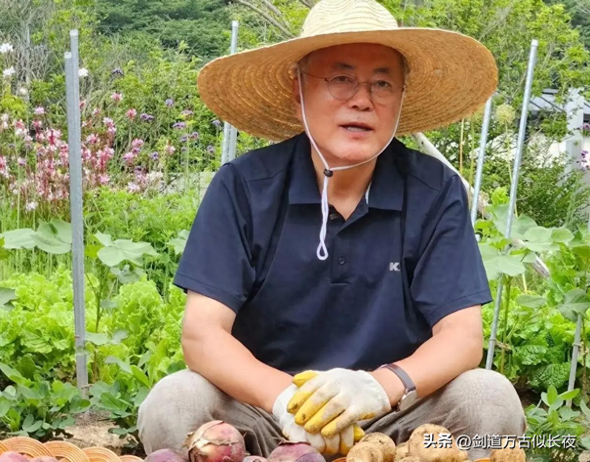 荒唐的理由，奇怪的逻辑，韩国检方以受贿罪起诉前总统文在寅